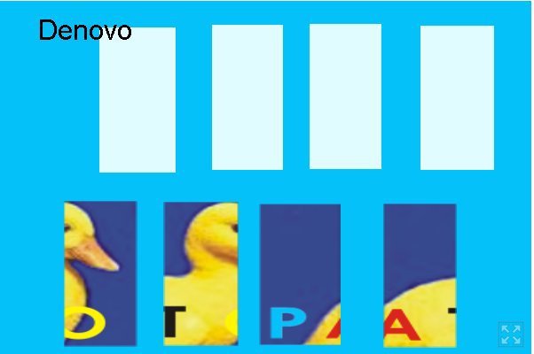 pato