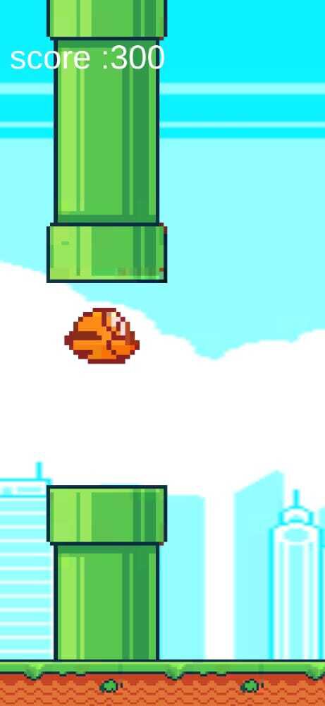 RGS BIRD