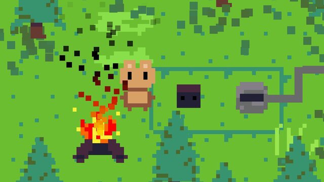 The Guiding Forest