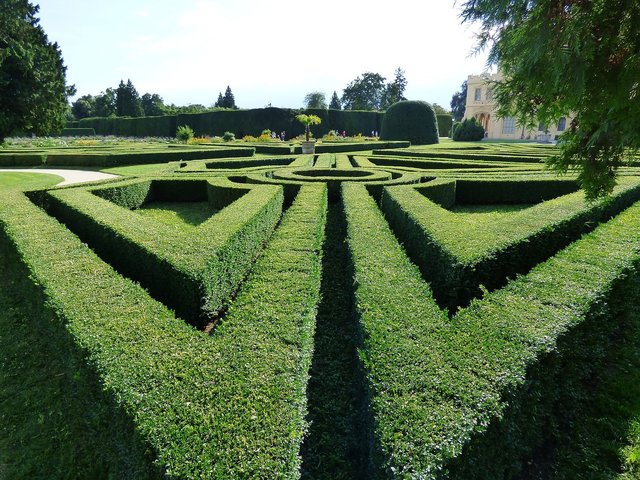 Auntychristos maze