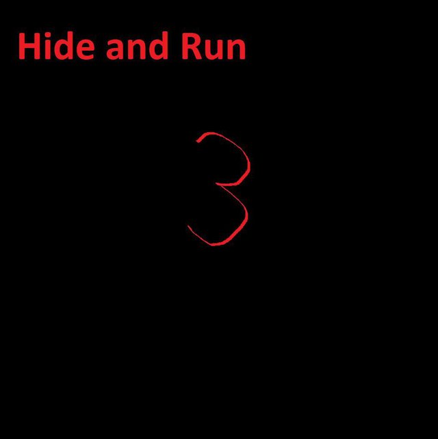 Hide and Run 3