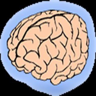 BrainBumpers Deluxe