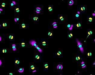 Clusters #Exp 10