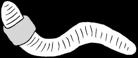 you are an earthworm who aspires to kill god