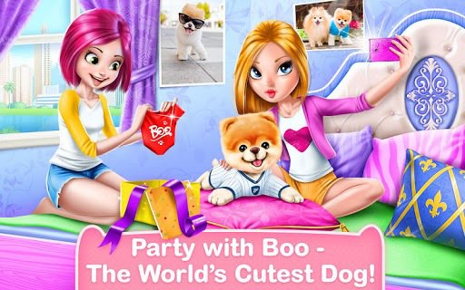 Boo - The World's Cutest Dog