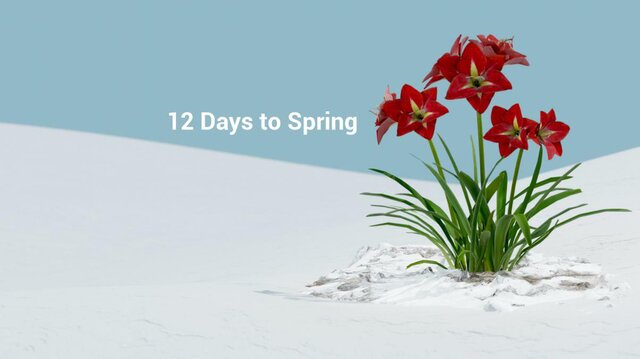 12 Days to Spring