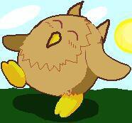 The crazy owl
