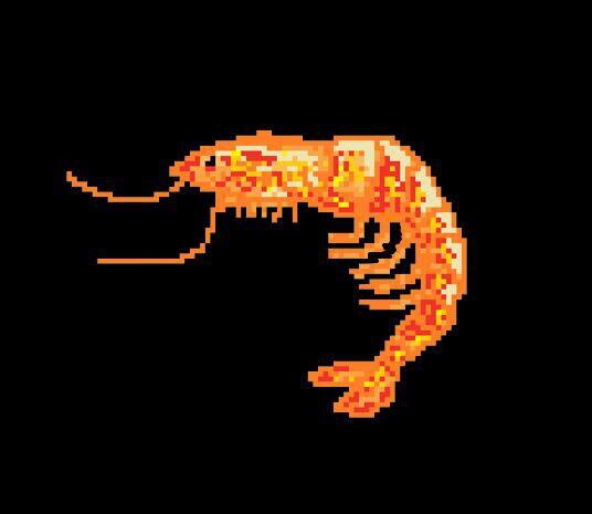 ShrimPassion