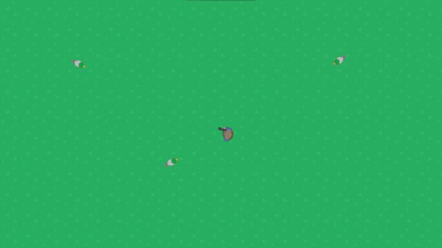 Invasion des Canards