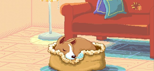 A Corgi At Night