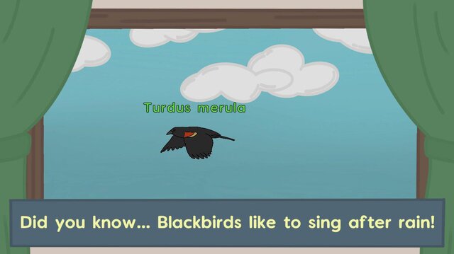 Birdwatching