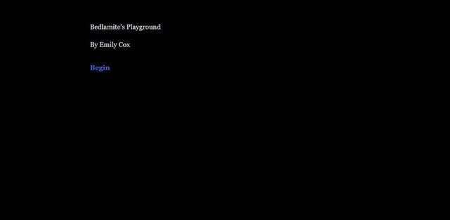 Bedlamite's Playground