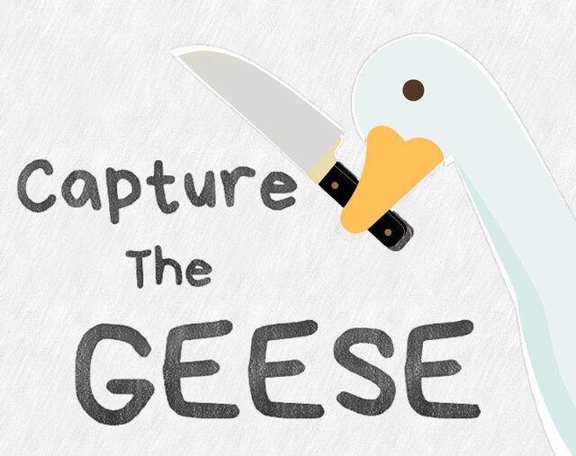 Capture The Geese