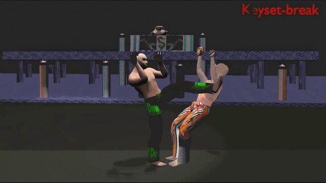 THE KICKBOXER