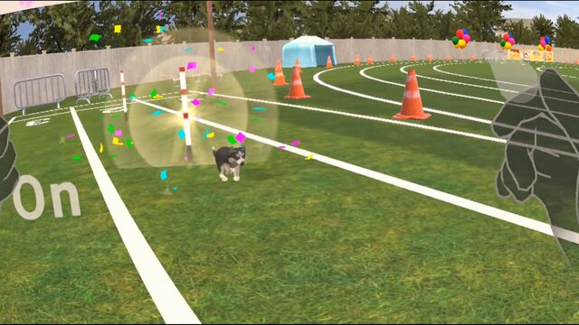 PET TOWN