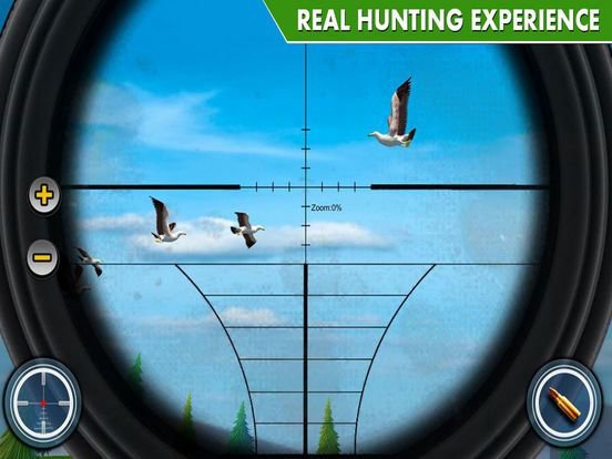 Shot Bird Hunting Experiennce