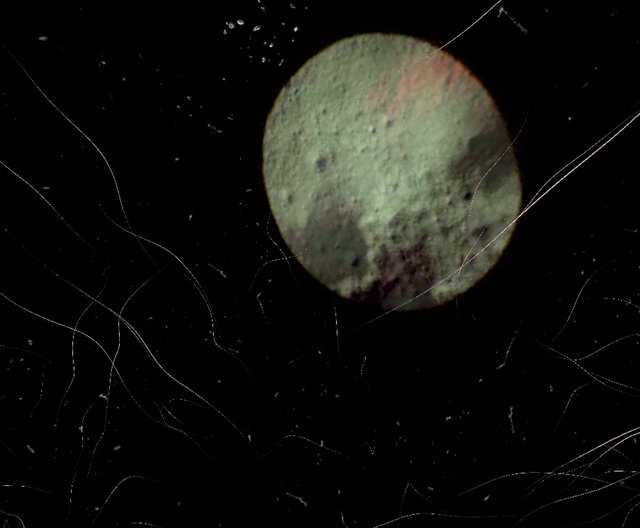 microscope moon