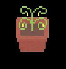 Odd Crops