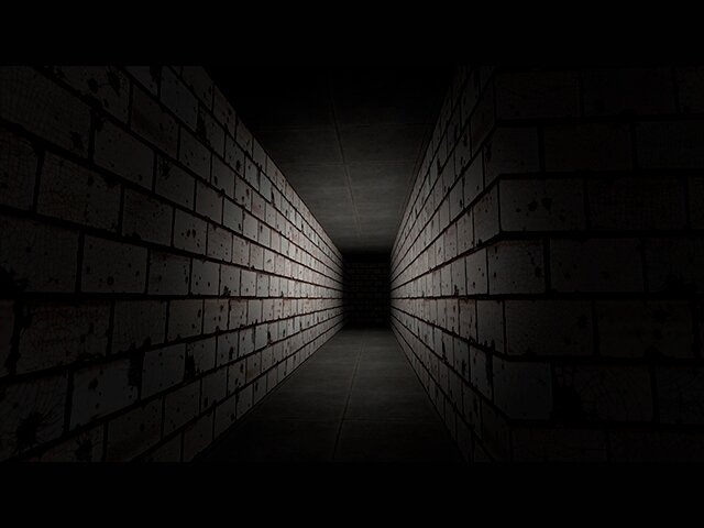 The Long Maze