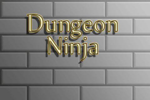 Dungeon Ninja