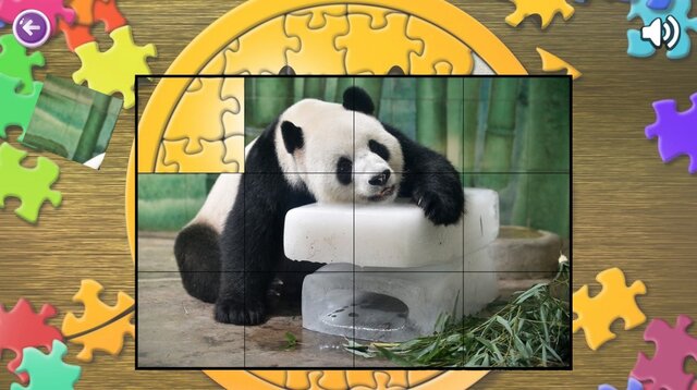 Animal World Puzzles