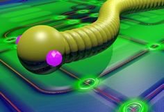 Snake virus