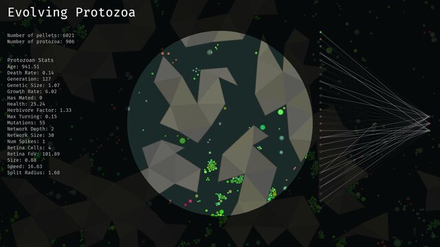 ProtoEvo