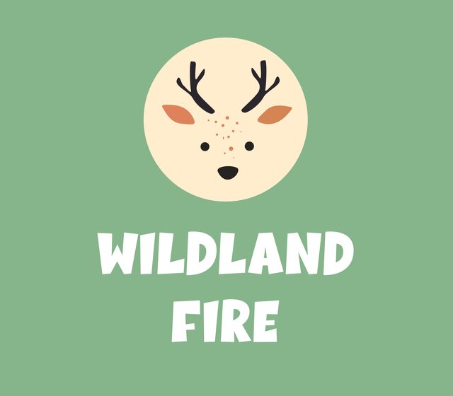 Wildland Fire
