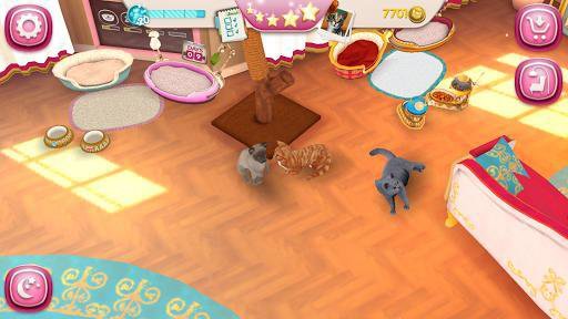 CatHotel - Hotel for cute cats