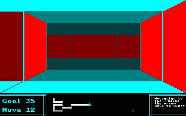 Maze Manic