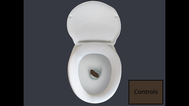 Poopoo Peepee Simulator