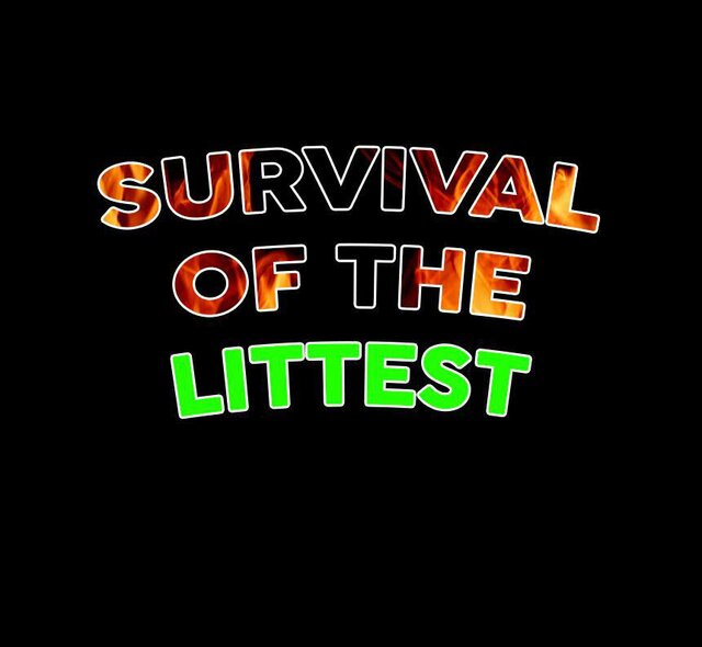Survival Of The Littest