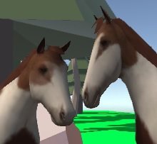 Salvador de ponys