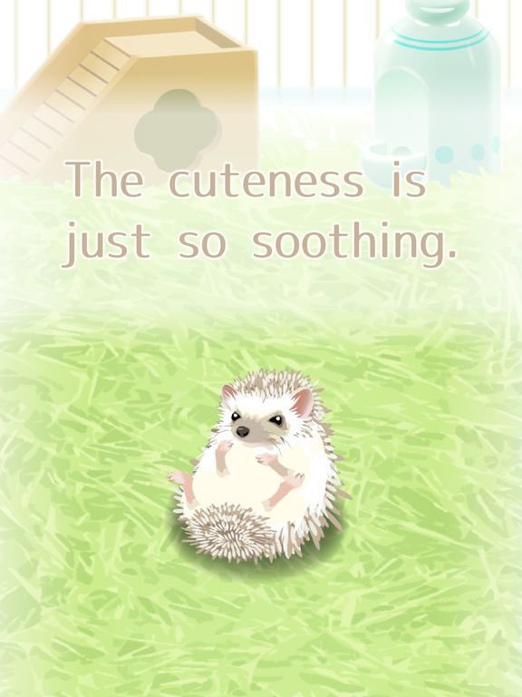 Virtual Therapeutic Hedgehog Pet