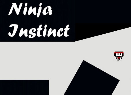 Ninja Instinct