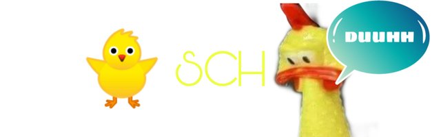 SCH - Stupid Chicken