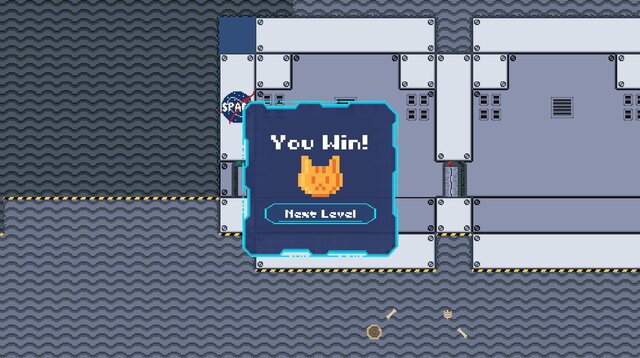 How Did A Cat Get Here? 2.0
