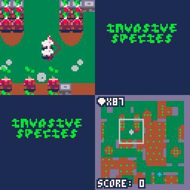 Invasive Species