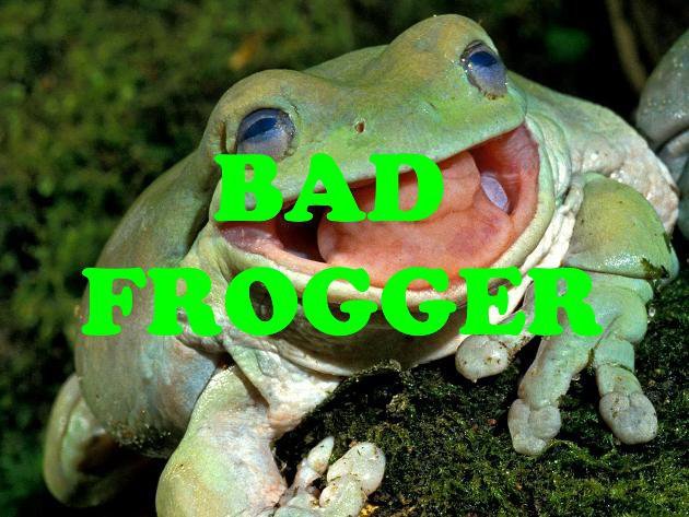 BAD FROGGER
