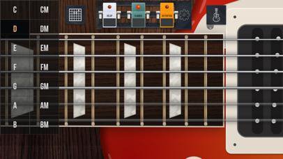 Simulator of the Real guitar