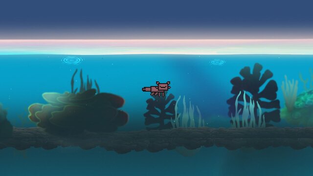 Finding Pepo