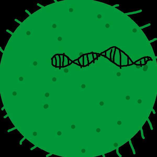 Okan vs. Coronavirus