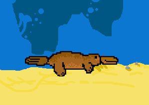 Flappy Pus