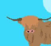 Moo