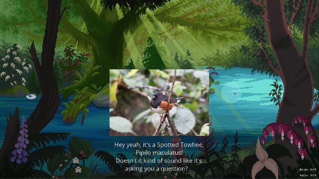 Birding PNW (beta)