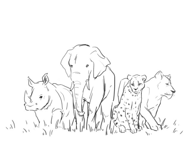 Animals vs. the Environment