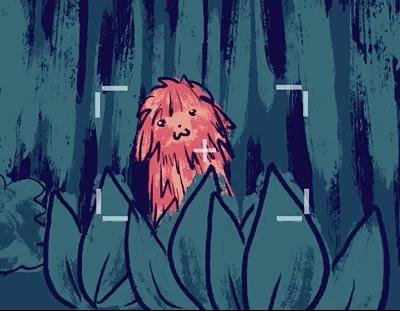 Sasquatch, say cheese!