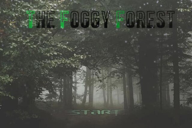 The Foggy Forest