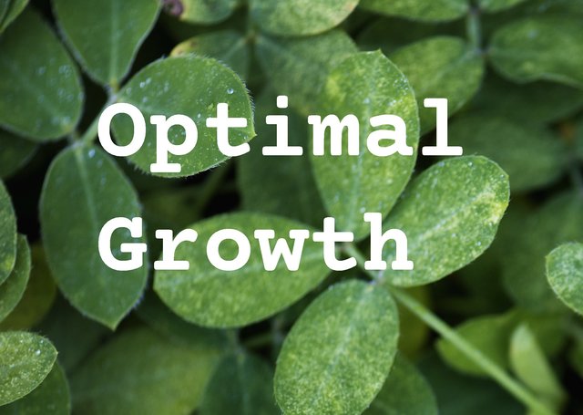 Optimal Growth