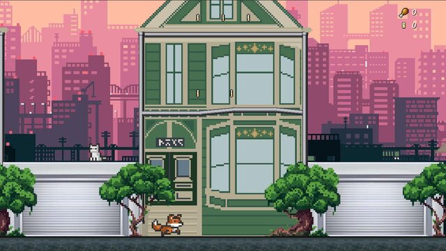 Cat city roof